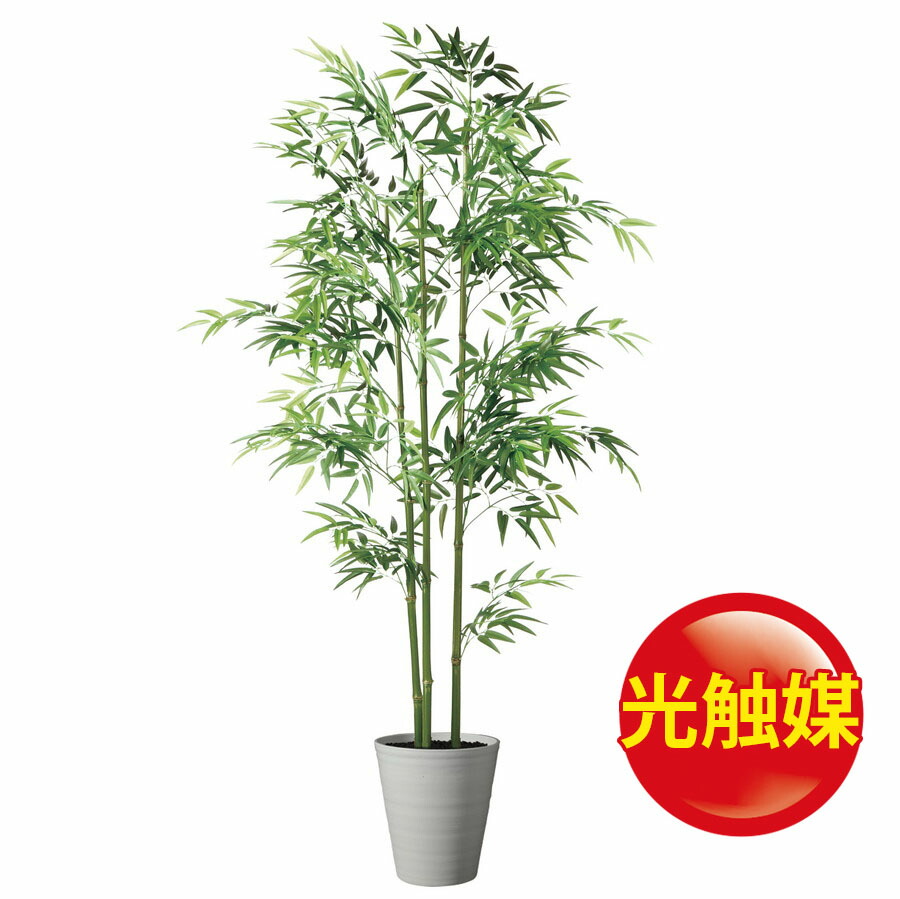 美しい 楽天市場 人工観葉植物 光触媒 青竹３本立 0 器 Sa 10 Wh フェイクグリーン イミテーション インテリア 和風 造花 天然 竹 お手入れ不要 観葉植物 大型 観葉植物 おしゃれ 観葉植物 インテリア 18ds ランドセル フロロ 新発売の Lexusoman Com