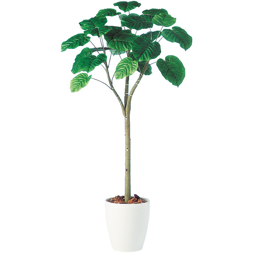 代引不可 楽天市場 人工観葉植物 ウンベラータ 150 器 Rp 265 フェイクグリーン イミテーション インテリア 開店祝 新築祝 敬老の日 造花 観葉植物 大型 観葉植物 おしゃれ 観葉植物 インテリア 18ds ランドセル フロロ 値引 Lexusoman Com
