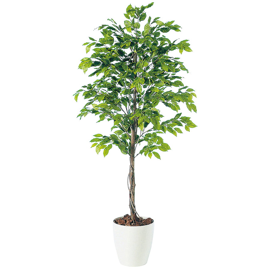 楽天 楽天市場 人工観葉植物 ベンジャミナスプラッシュ 150 器 Rp 265 フェイクグリーン イミテーション インテリア 開店祝 新築祝 オフィス 造花 観葉植物 大型 観葉植物 おしゃれ 観葉植物 インテリア 18ds ランドセル フロロ 激安単価で Lexusoman Com