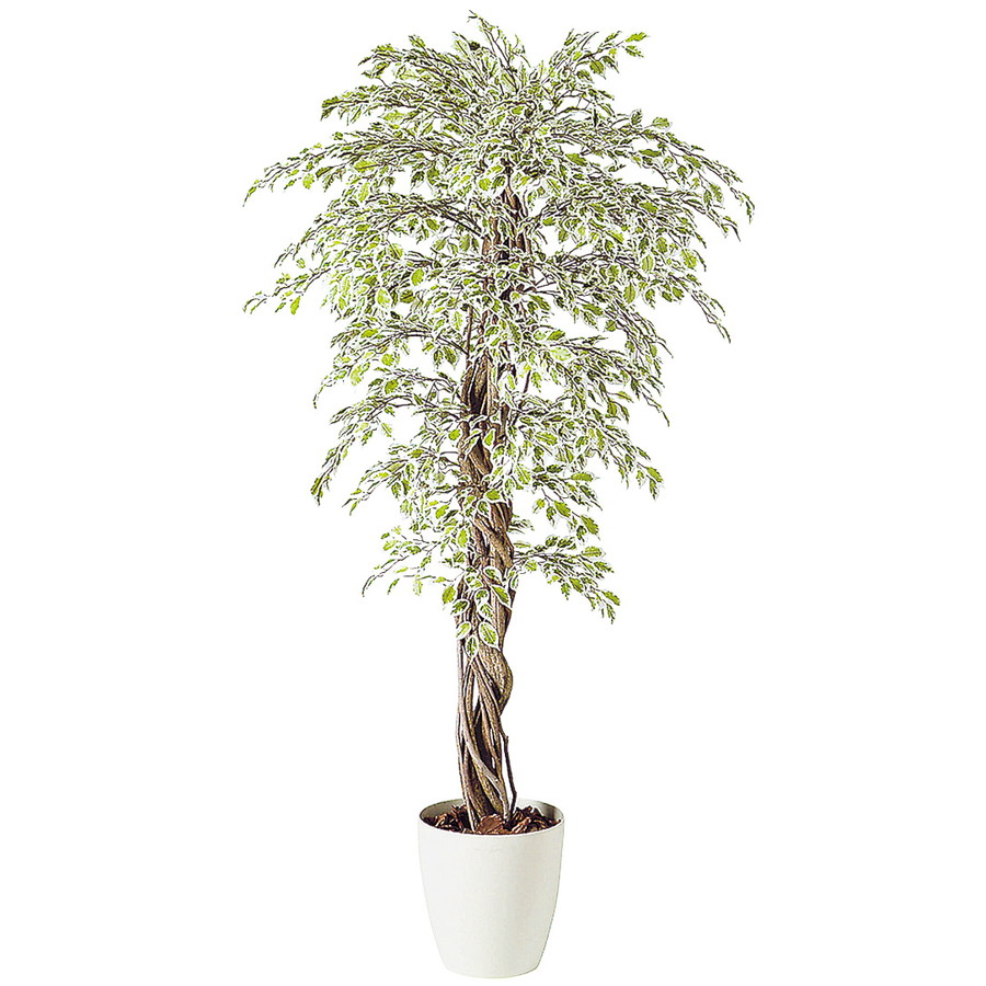 公式の 人工観葉植物 ベンジャミナスターライトリアナ 0 器 Rp 370 フェイクグリーン イミテーション インテリア 開店祝 新築祝 オフィス 造花 観葉植物 大型 観葉植物 おしゃれ 観葉植物 インテリア 18ds 大流行中 Www Lexusoman Com 公式の 人工観葉植物 ベンジャミナスターライトリアナ 0 器 Rp 370 フェイクグリーン イミテーション インテリア 開店祝 新築祝 オフィス 造花 観葉植物 大型 観葉植物 おしゃれ 観葉植物 インテリア 18ds 大流行中 Www Lexusoman Com