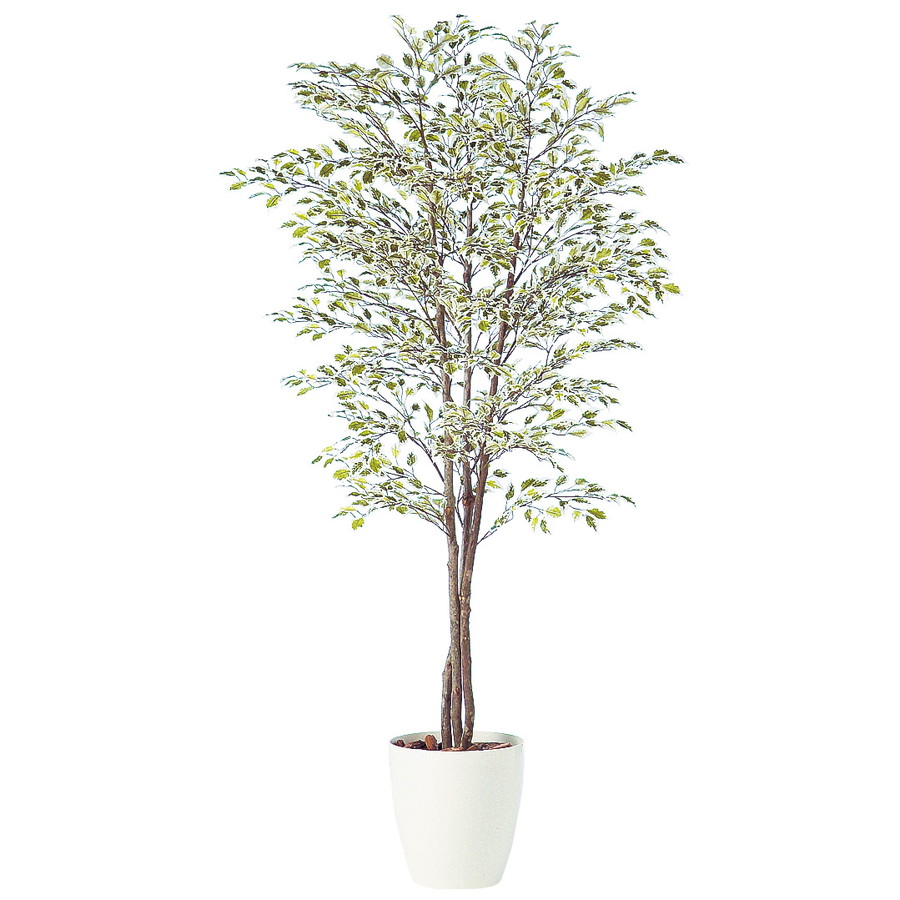 タイムセール フロロラッピング 人工観葉植物 大型 フェイクグリーン イミテーション インテリア 開店祝 開店祝 新築祝 造花 人工観葉植物 引越祝 贈り物 敬老の日 造花 人工 おしゃれ オフィス 店舗 人工観葉植物 ベンジャミナスターライトトリプル 180 器 Rp 300