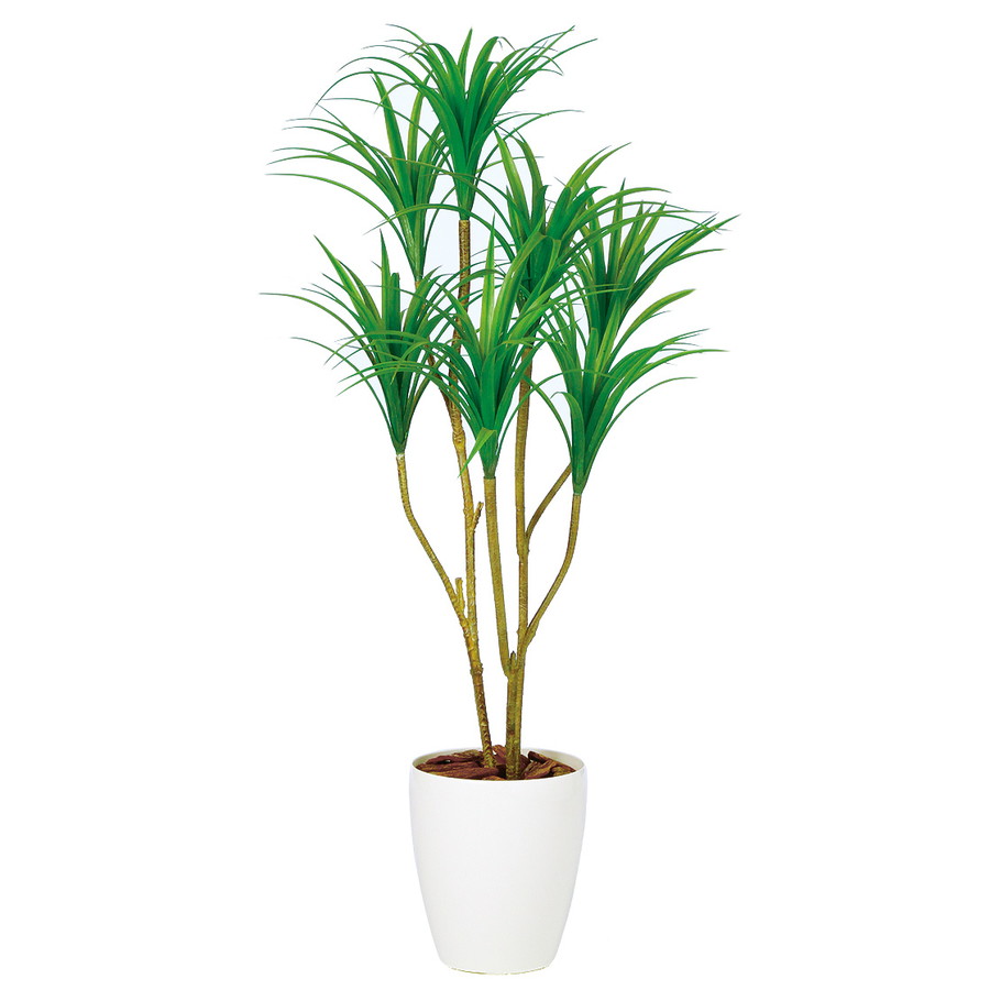 最新モデルが入荷 人工観葉植物 コンシンネ 1 器 Rp 225 976 フェイクグリーン イミテーション インテリア 開店祝 新築祝 オフィス 店舗 造花 観葉植物 大型 観葉植物 おしゃれ 観葉植物 インテリア 18ds 代引不可 Www Roto Srbija Rs 最新モデルが入荷 人工観葉植物 コンシンネ 1 器 Rp 225 976 フェイクグリーン イミテーション インテリア 開店祝 新築祝 オフィス 店舗 造花 観葉植物 大型 観葉植物 おしゃれ 観葉植物 インテリア 18ds 代引不可 Www Roto Srbija Rs