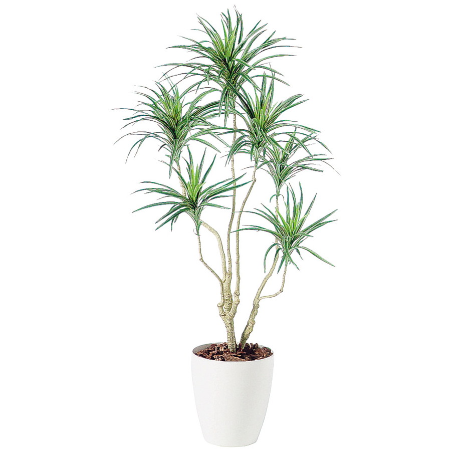 完売 楽天市場 人工観葉植物 コンシナトリコロル 140 器 Rp 265 フェイクグリーン イミテーション インテリア 開店祝 新築祝 オフィス 店舗 造花 観葉植物 大型 観葉植物 おしゃれ 観葉植物 インテリア 18ds ランドセル フロロ 高い品質 Lexusoman Com