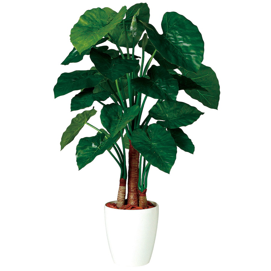 完売 楽天市場 人工観葉植物 クワズイモ トリプル 130 器 Rp 265 969 フェイクグリーン イミテーション インテリア オフィス 店舗 造花 観葉植物 大型 観葉植物 おしゃれ 観葉植物 インテリア 18ds ランドセル フロロ 全国組立設置無料 Www Hotrade Com Mx