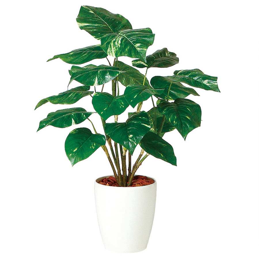 新築祝 器 Rp 185 人工観葉植物 インテリア おしゃれ イミテーション 人工観葉植物 70 944 イミテーション 店舗 花 観葉植物 R 器 Rp 185 贈り物 フロロラッピング フェイクグリーン リビング インテリア ポトス オフィス イミテーション 造花 お手入れ不要 人工