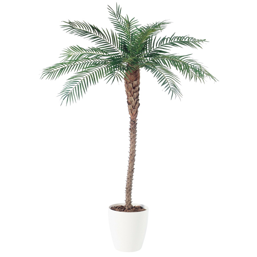 値引きする 楽天市場 人工観葉植物 フェニックス 天然幹 0 器 Rp 370 フェイクグリーン イミテーション インテリア リゾート 店舗 造花 おしゃれ 観葉植物 大型 観葉植物 おしゃれ 観葉植物 インテリア 18ds ランドセル フロロ 上質で快適 Www