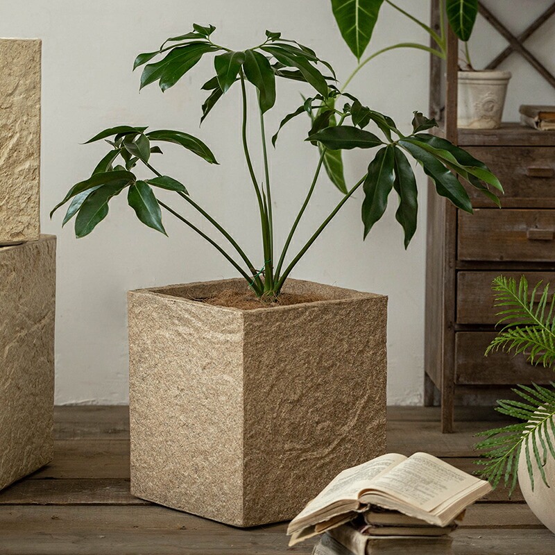 【送料無料】 正方形 植木鉢 北欧風 プランター 観葉植物用 大型 方形 軽量 深型 穴付き おしゃれ 室内 屋外対応 耐候性 フラワーポット ガーデンポット TC40508|ガーデン用品専門店フラスタ