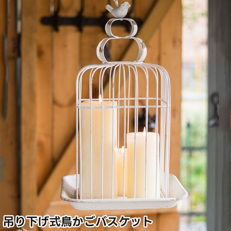 鳥かご　ガーデニング雑貨 s-toolbox_td-nd44892
