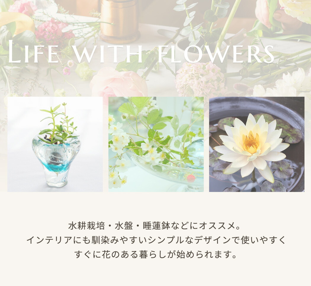 Sale 57 Off 大人気 スカイワイン 6本セット コーダ ペティナット ナチュラルワイン オーガニックワイン ワインセット お家飲み ホームパーティ ワイン好き ピッタリ オーストラリア 750ml メーカー希望価格 19 745のところ 1oficioverde Com Br