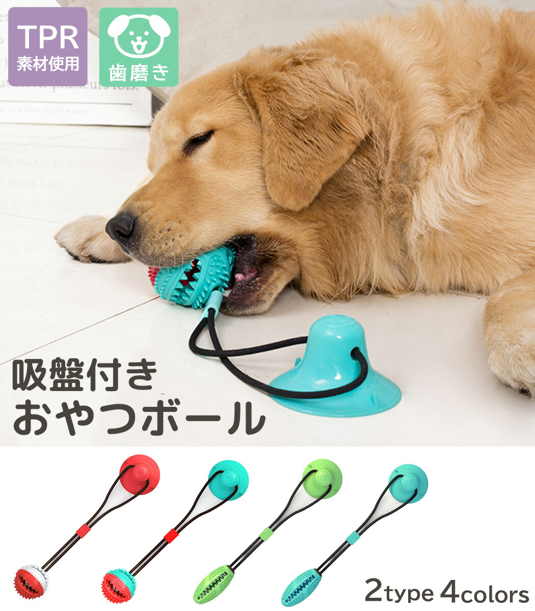おもちゃ 犬用 ロープ ボール 吸盤付き 小型犬 中型犬 大型犬 Tpr素材 歯磨き 吸盤ボール 知育おもちゃ 健康器具 遊び 噛む ペット 鈴入り 水洗い可能 楕円形 全長40cm 伸縮性あり Giosenglish Com