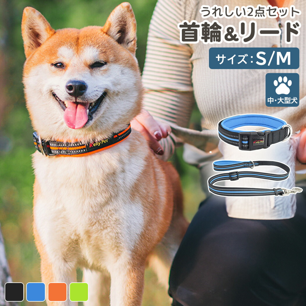 楽天市場】【犬 リボン 首輪 唐草模様 リードセット】リード 綿