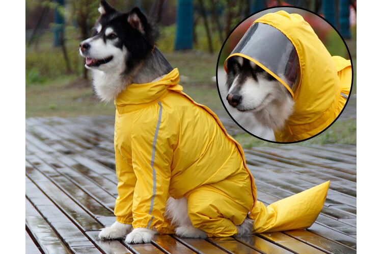 市場 犬用 フード付き 反射テープ 犬服 カッパ 女の子用 雨合羽 おしゃれ レインコート 中型犬 ペット 散歩 撥水 男の子用 大型犬 雨具 雨の日 市場 犬用 フード付き 反射テープ 犬服 カッパ 女の子用 雨合羽 おしゃれ レインコート 中型犬 ペット 散歩 撥水 男の子用 大型犬 雨具 雨の日