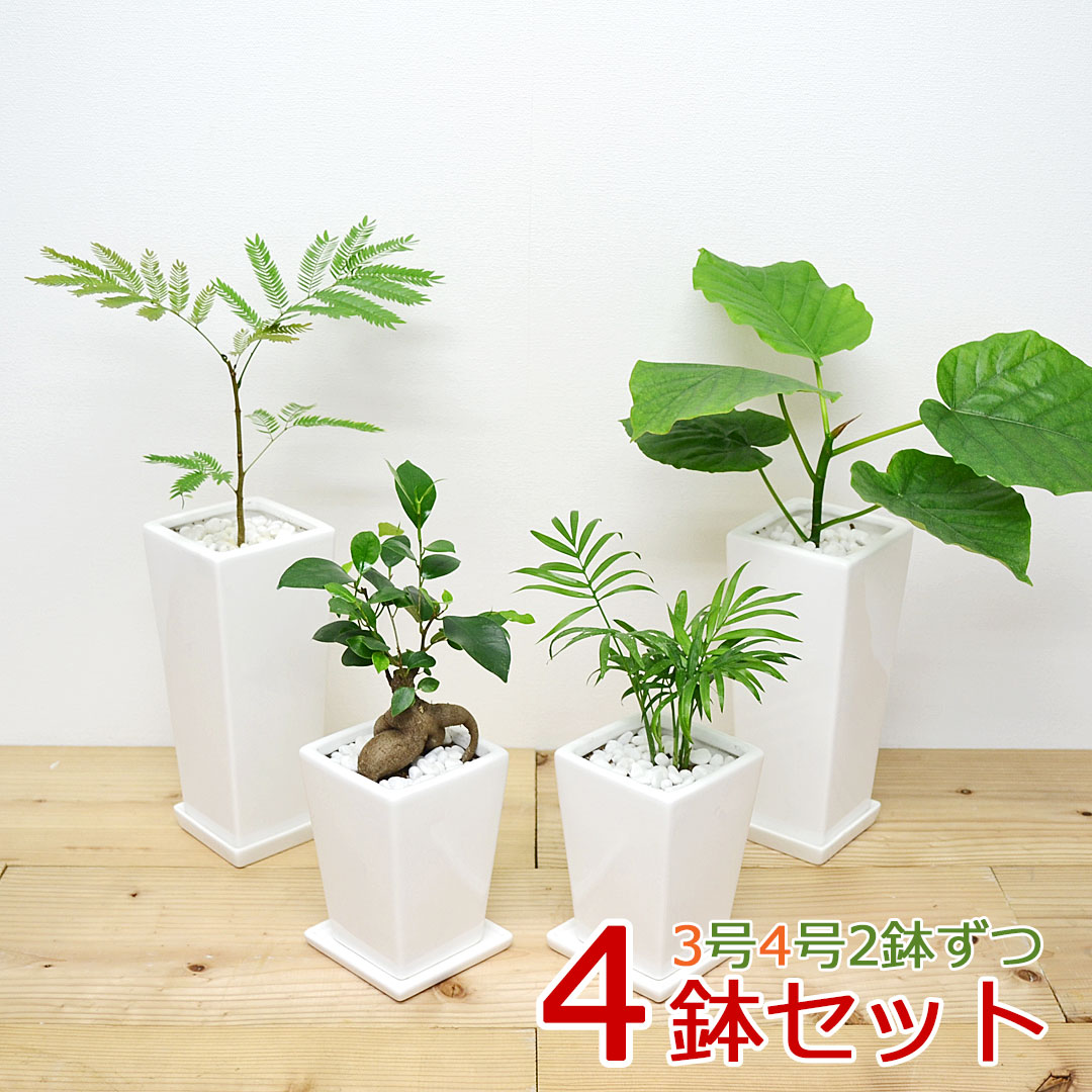 楽天市場】鉢カバー 2号の通販