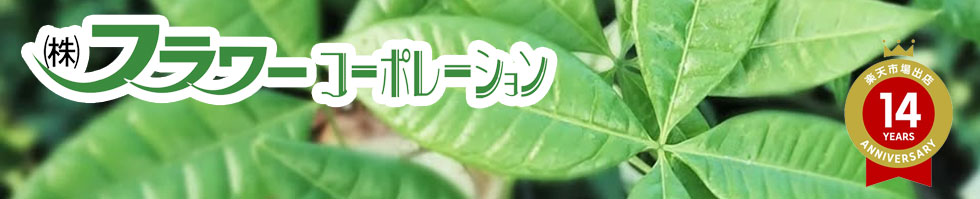 �ե������ݥ졼����󡧴��տ�ʪ���֥��եȡ�������ʤ����䡦����