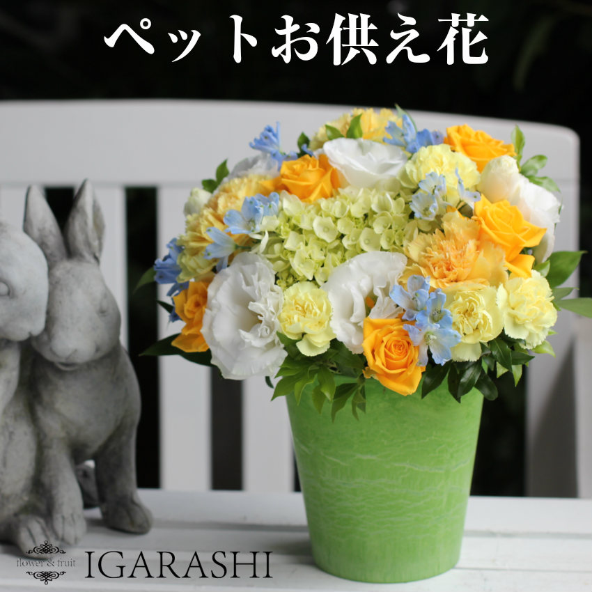 冷蔵配送 お供え 花 ペット アレンジメント フラワー 花 ギフト フラワー アレンジ あす楽 犬 Educaps Com Br