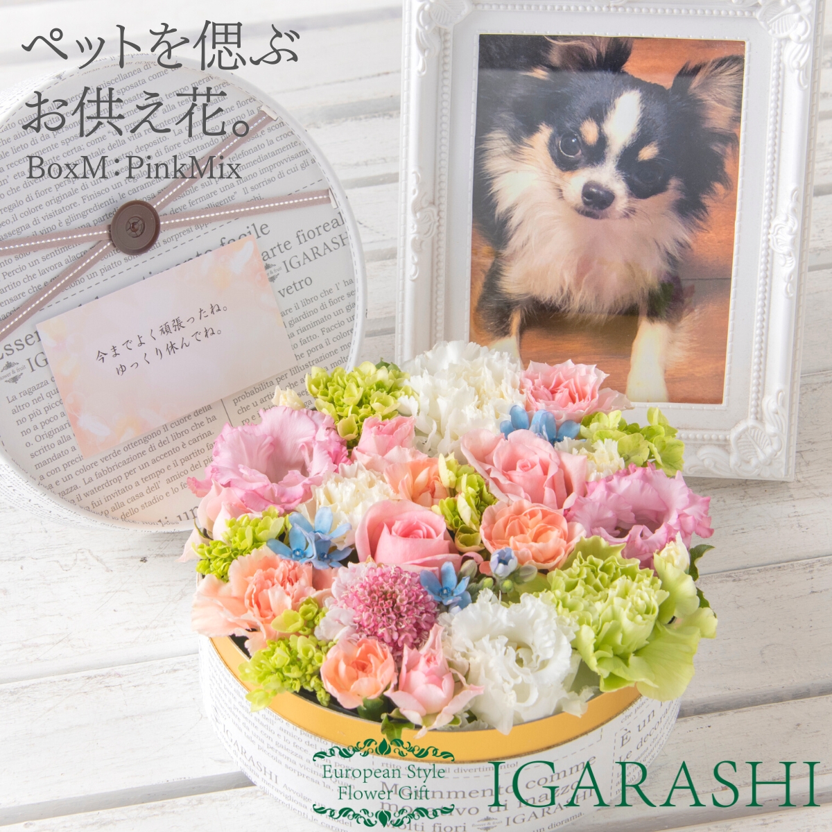 楽天市場】【冷蔵料金サービス】 【 お供え 花 ペット