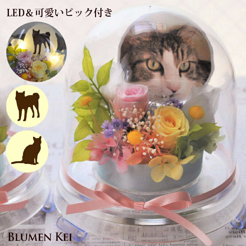 【ペットフルール】送料無料 お供え花 仏花 花 プリザーブドフラワー ／写真印刷無料 写真 フォト メッセージカード無料 LED 光る ギフト プレゼント お盆 初盆 お供え お彼岸 ご霊前 一周忌 三回忌 法事 仏壇 洋風 お仏壇 お悔やみ アレンジ ペット ドーム カプセル