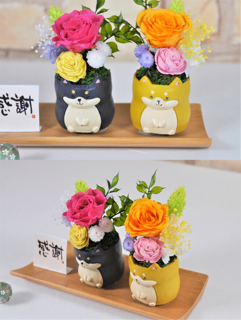 ギフトプレゼント花プリザーブドフラワー和風夫婦ふくろうだるま富士山アマビエ柴犬/送料無料あす楽メッセージカード付き名入れ和風アレンジ花誕生日長寿祝い還暦祝い母退職祝いプレゼント女性花還暦喜寿米寿傘寿