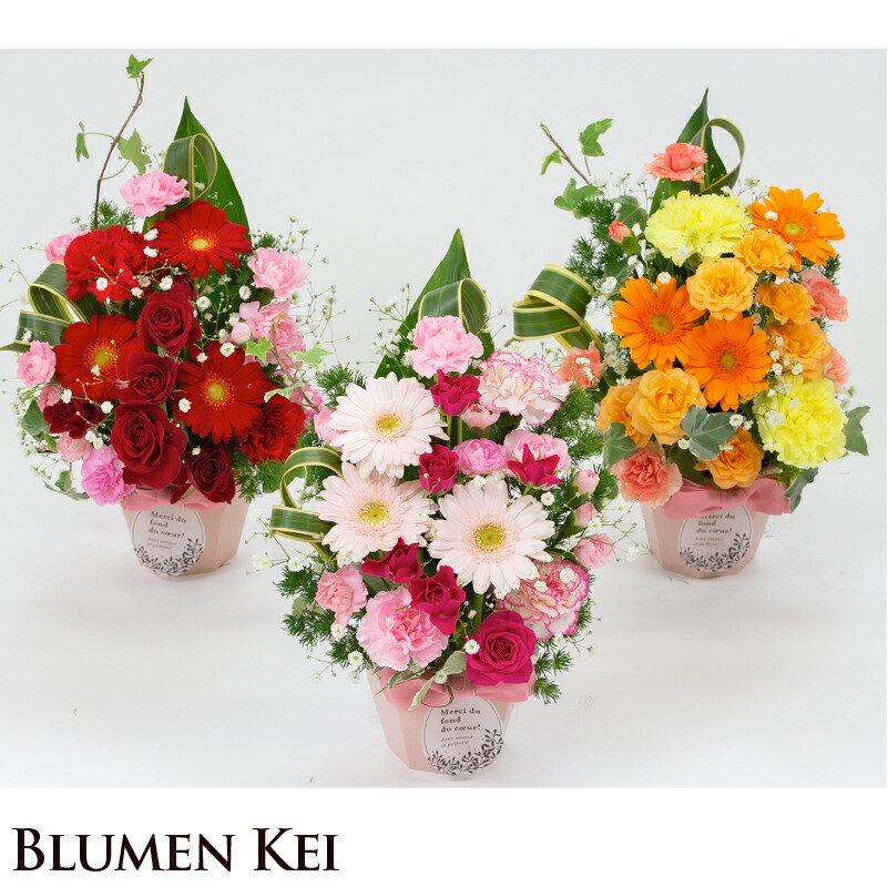 ギフト プレゼント 花 生花 生花アレンジメントL/ 送料無料 メッセージカード付き 画像配信 フラワー 誕生日 結婚祝い プレゼント ギフト 結婚記念日 サプライズ 卒業祝い 退職祝い 開店祝い プレゼント 女性 新築祝い