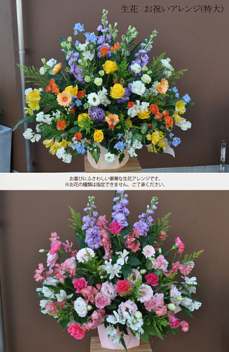 ギフト プレゼント 花 生花 お祝いアレンジ 特大 あす楽 送料無料 即日発送 メッセージカード付き 画像配信 バルーン 風船 フラワー 誕生日 結婚祝い プレゼント ギフト 結婚記念日 サプライズ 開店祝い かわいい 誕生日 お正月 女性 Crunchusers Com