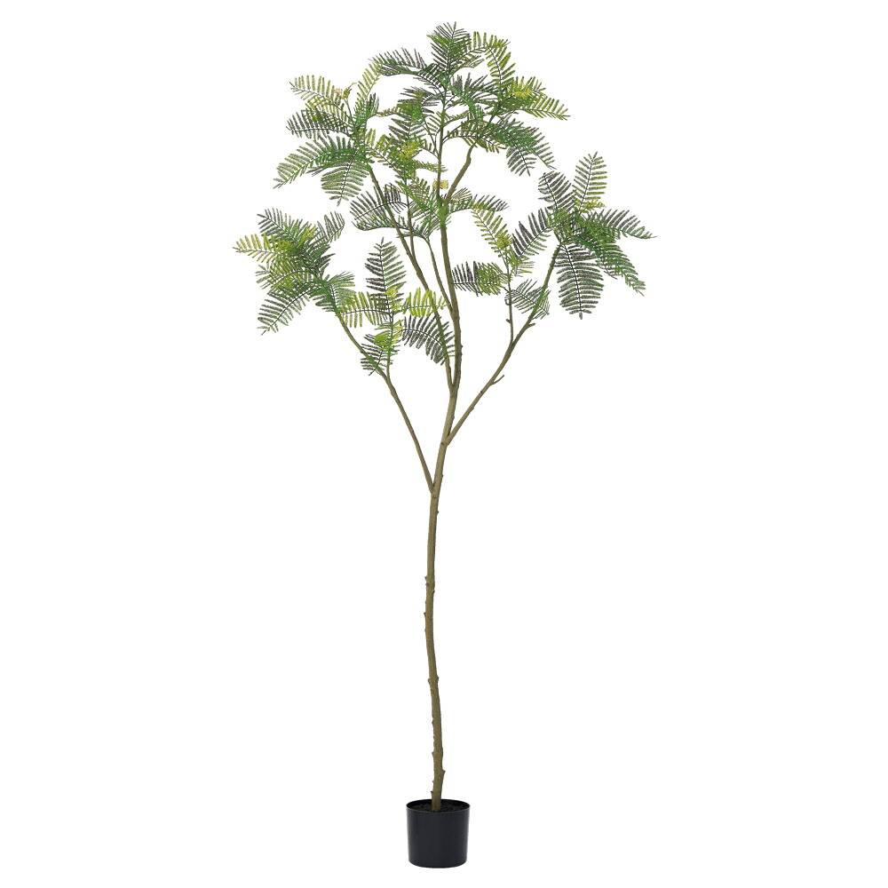 造花 アーティフィシャルフラワー　エバーフレッシュ（ポット付） グリ&minus;ン a-51174-051a 【ascaアスカ】｜フラワーライフ　サンエイクラフト