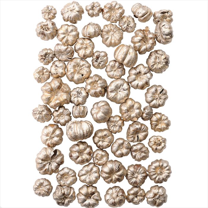 ブッダナッツの飾り◯ブラウンコットン ブッダナッツの飾り◯ブラウンコットン