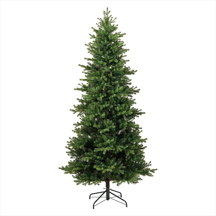 【インテリアグリーン　観葉樹木　クリスマスツリー】　ノーブルカノンツリー７．５Ｆ　Ｂ．ＧＲＥＥＮ xv301337-zzz 0【東京堂】