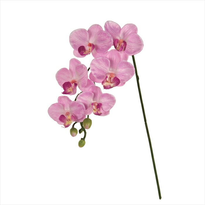 楽天市場】【アーティフィシャルフラワー 造花 フラワー（アーティ