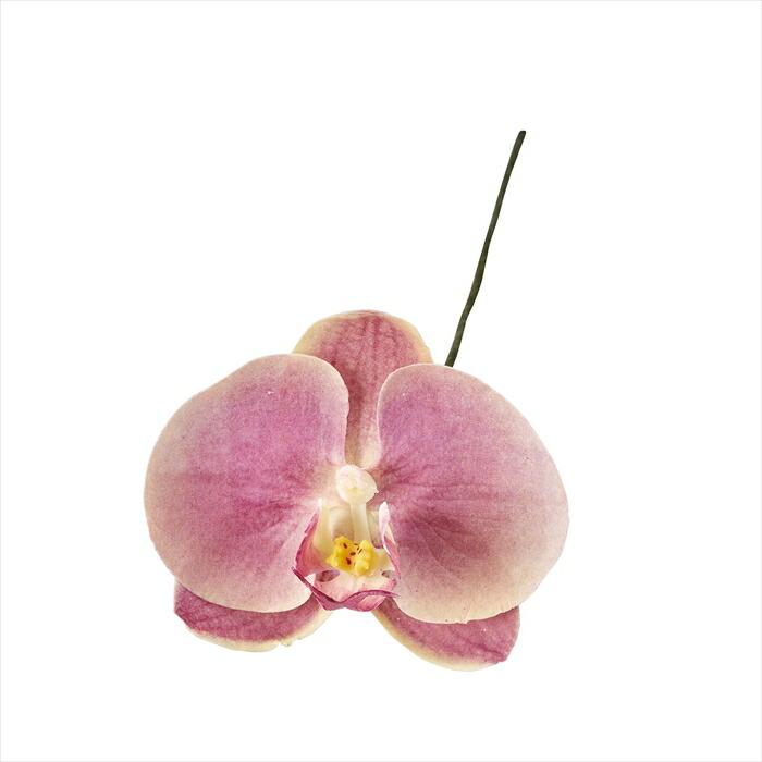 楽天市場】【アーティフィシャルフラワー 造花 フラワー（アーティ