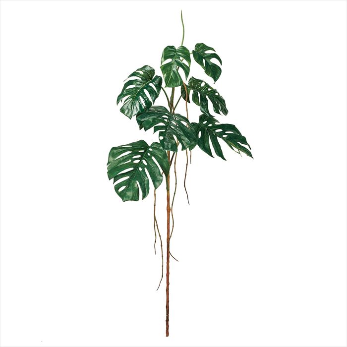 【アーティフィシャルフラワー　造花　グリーン　リーフ　多肉植物 モンステラ】　★ＡＸ★モンステラ大枝　ＧＲＥＥＮ fg000898-zzz【東京堂】