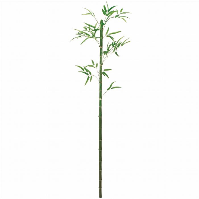【アーティフィシャルフラワー　造花　グリーン　リーフ　多肉植物 竹　笹　バンブー】　和歌竹Ｌ　ジョイント式　ＧＲＥＥＮ fg008947-zzz【東京堂】
