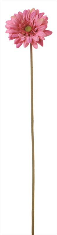 楽天市場】[最短出荷 残りわずか]ガーベラ(YE・4本set) スパイラル