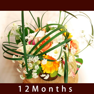 3 000円アレンジメントを毎月ご自宅へお届け 3 000円アレンジメントをご自宅へお届け