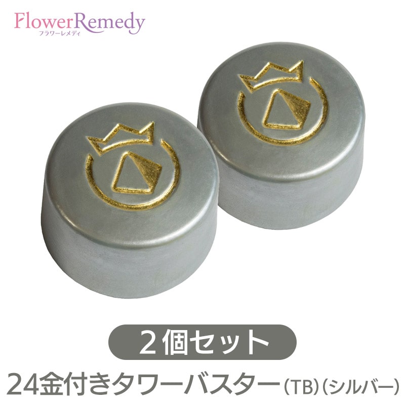 【お買い物マラソン最大2222円クーポン配布中】【2個セット】24金付きタワーバスター（TB）（シルバー）《ボヘミアンオルゴナイト》2個セット[キングスオルゴナイト/電磁波/チェコ/オルゴナイト]