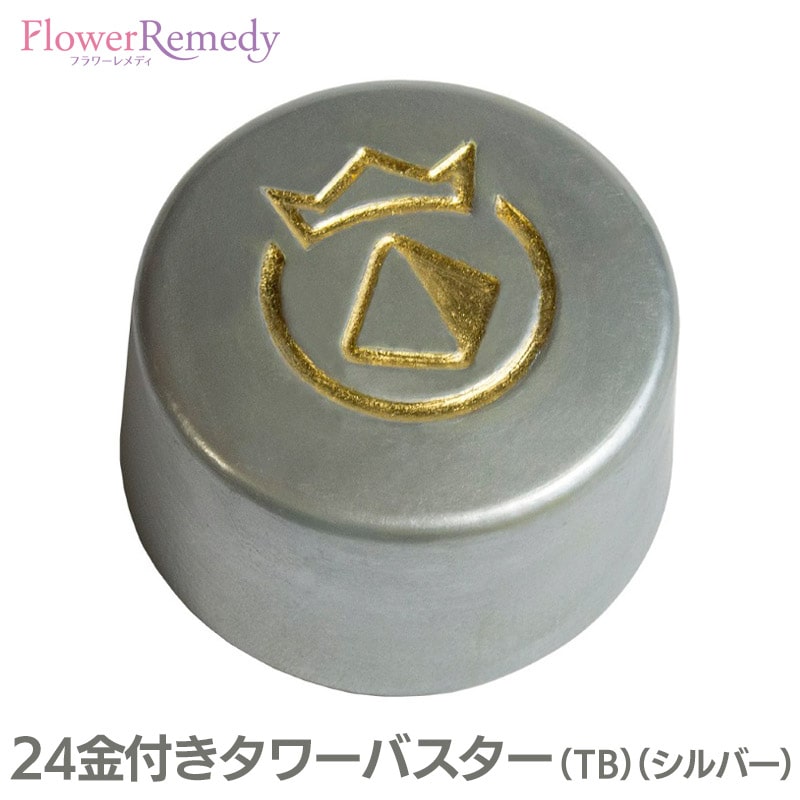 【お買い物マラソン最大2222円クーポン配布中】24金付きタワーバスター（TB）（シルバー）《ボヘミアンオルゴナイト》[キングスオルゴナイト/電磁波/チェコ/オルゴナイト]