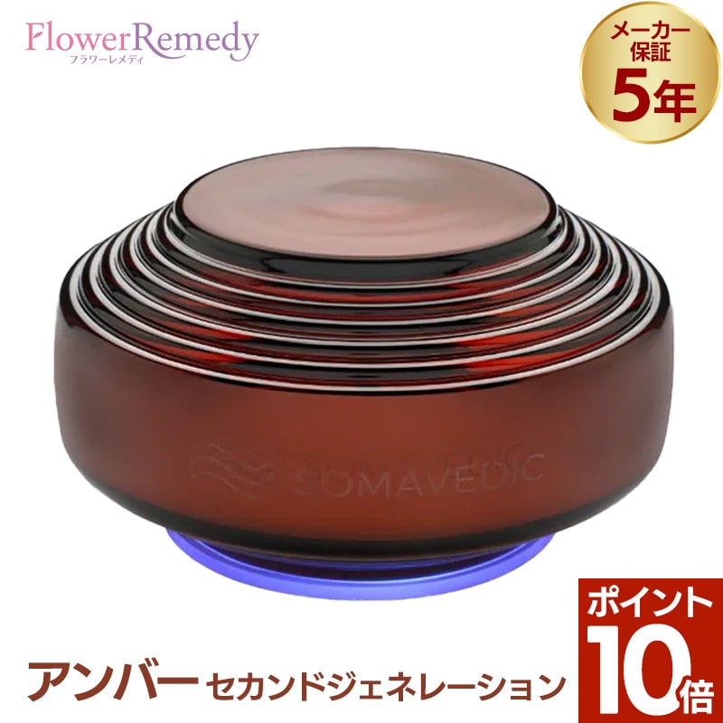 月間素晴らしい販売店勝ちえる