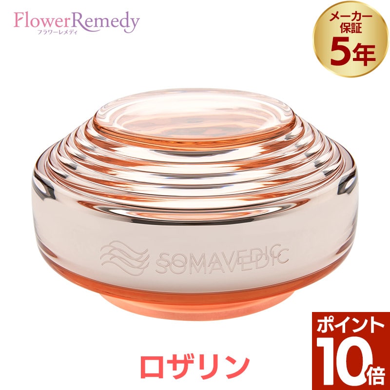 月間素晴らしい販売店勝ちえる