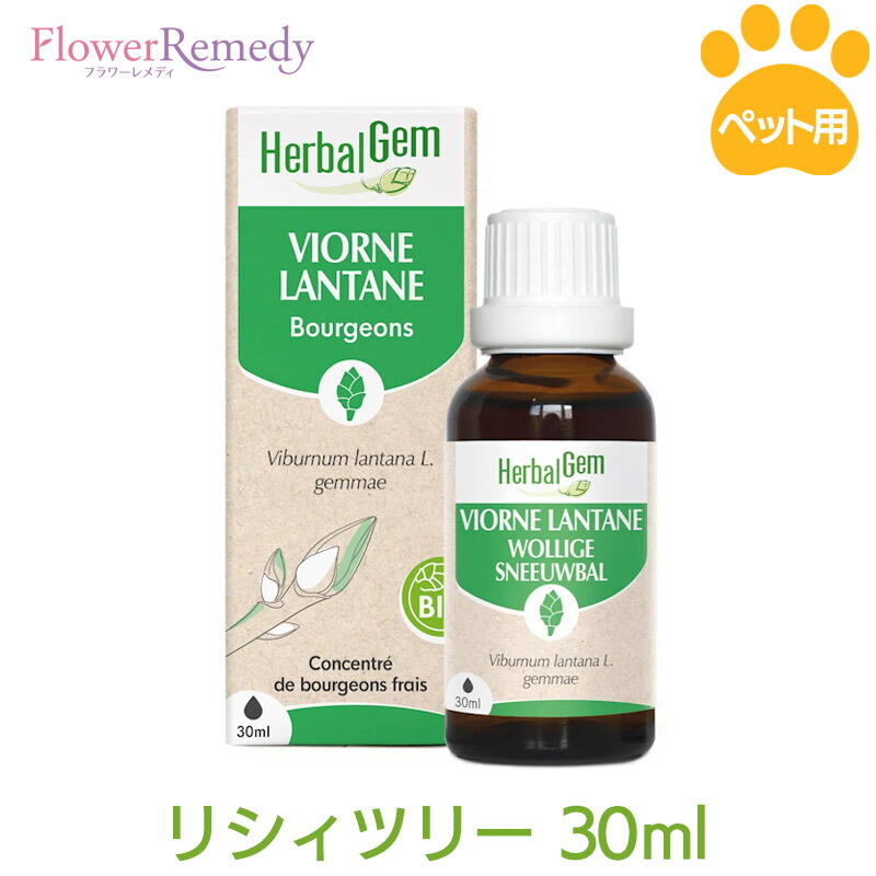 楽天市場】コモンジュニパー（ペット用ジェモセラピー）《ハーバルジェム》30ml [ジェモセラピー/HerbalGem/ベルギー/ペット/動物/ハーブ/ サプリメント/犬/猫/ジェムレメディ] : フラワーレメディ