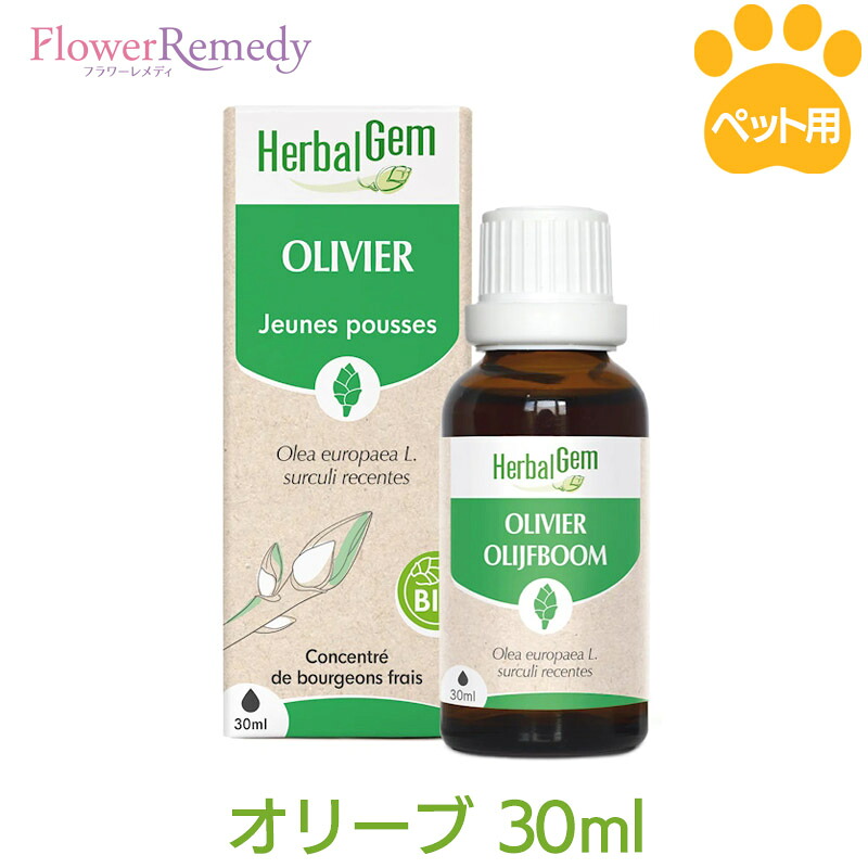 月間素晴らしい販売店勝ち取る ドッグフード・サプリメント-サプリメント-犬用品