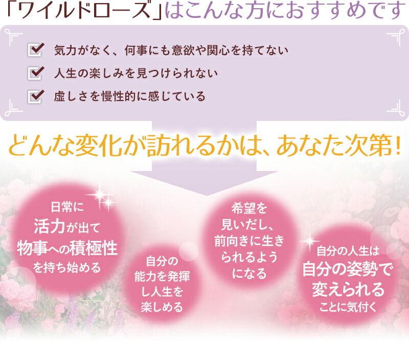 楽天市場 バッチフラワーレメディ ワイルドローズ 情熱 グリセリンベース 10ml フラワーエッセンス バッチフラワーレメディ 正規輸入品 メール便対象 バッチ フラワー レメディ フィトセラピー 正規品 フラワーレメディ フラワーレメディ