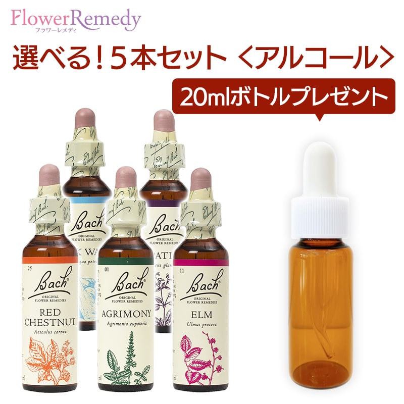 楽天市場】【お買い物マラソン最大2222円クーポン配布中】バッチ
