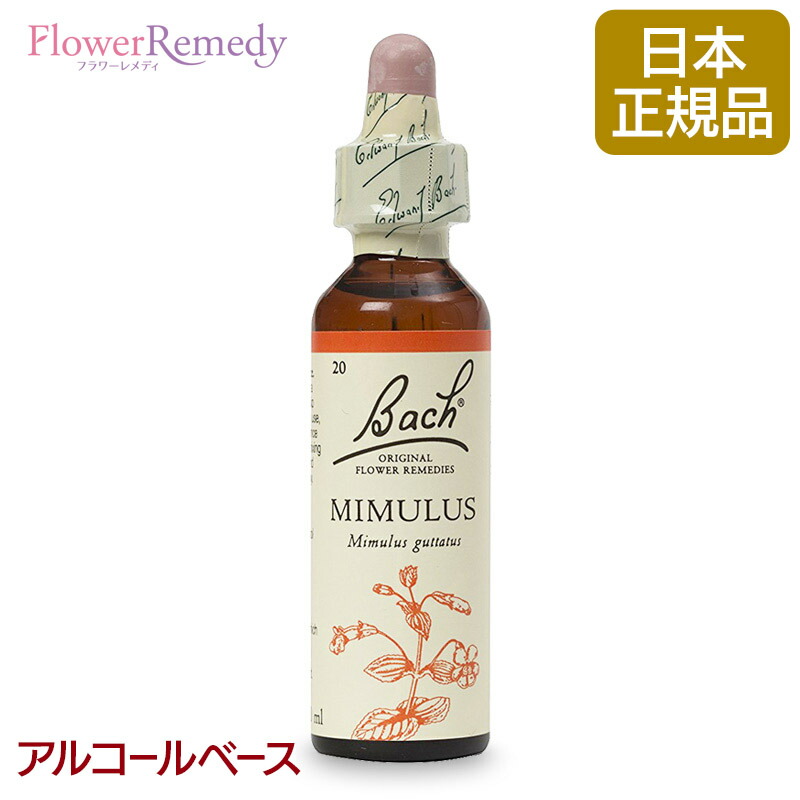 楽天市場】バッチフラワーレメディ ホワイトチェストナット（静謐） アルコールベース(20ml)/フラワーエッセンス バッチフラワーレメディ  正規輸入品【メール便対象】[バッチ/フラワー/レメディ/フィトセラピー/正規品/フラワーレメディ] : フラワーレメディ