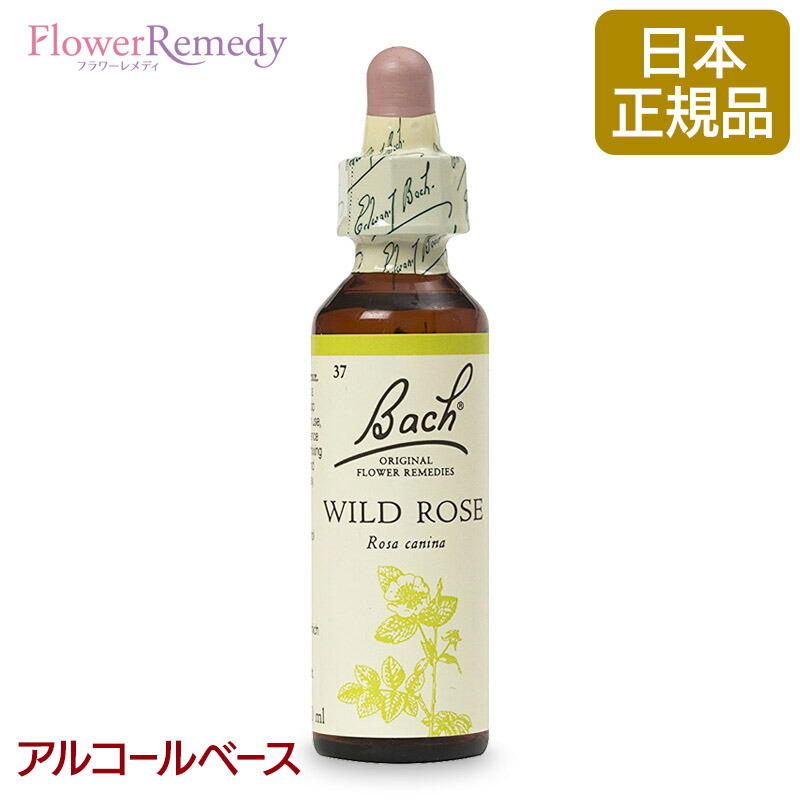 【楽天市場】バッチフラワーレメディ ゴース（希望） アルコールベース(20ml)/人気フラワーエッセンス バッチフラワーレメディ  正規輸入品【メール便対象】[バッチ/フラワー/レメディ/フィトセラピー/正規品/フラワーレメディ] : フラワーレメディ