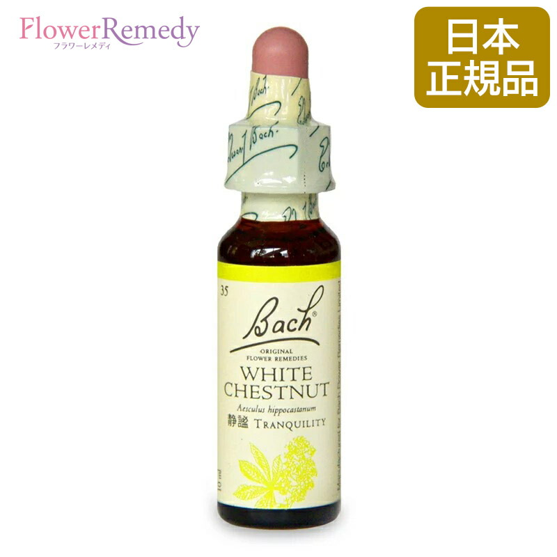 【楽天市場】バッチフラワーレメディ チェストナットバッド（判断力） グリセリンベース(10ml)/人気フラワーエッセンス バッチフラワーレメディ  正規輸入品【メール便対象】[バッチ/フラワー/レメディ/フィトセラピー/正規品/フラワーレメディ] : フラワー ...