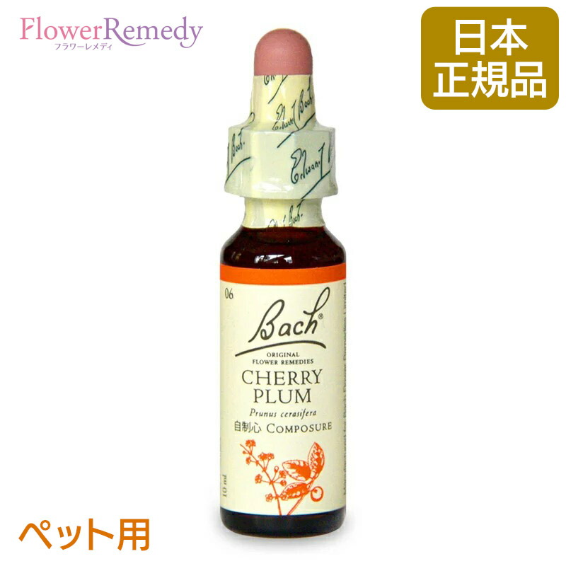 4/14まで期間限定価格【美品】バッチフラワーエッセンス事典 レメディー専用箱 ff06p.jpg