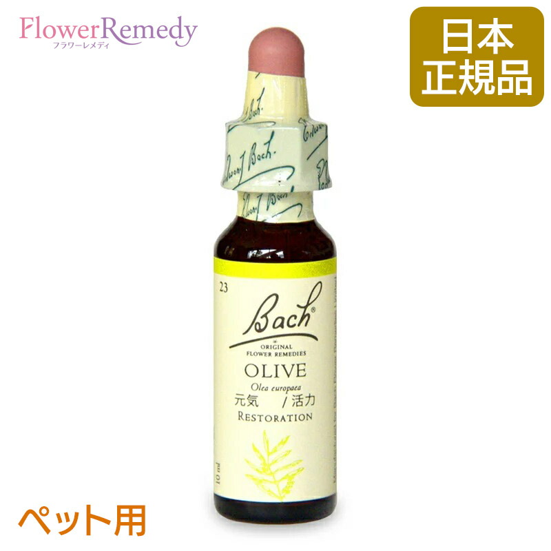 希少限定1点｜箱付きセット｜バッチフラワーエッセンス｜フラワーレメディ 楽天市場】【20ml専用】木製携帯プロフェッショナルセットBOX