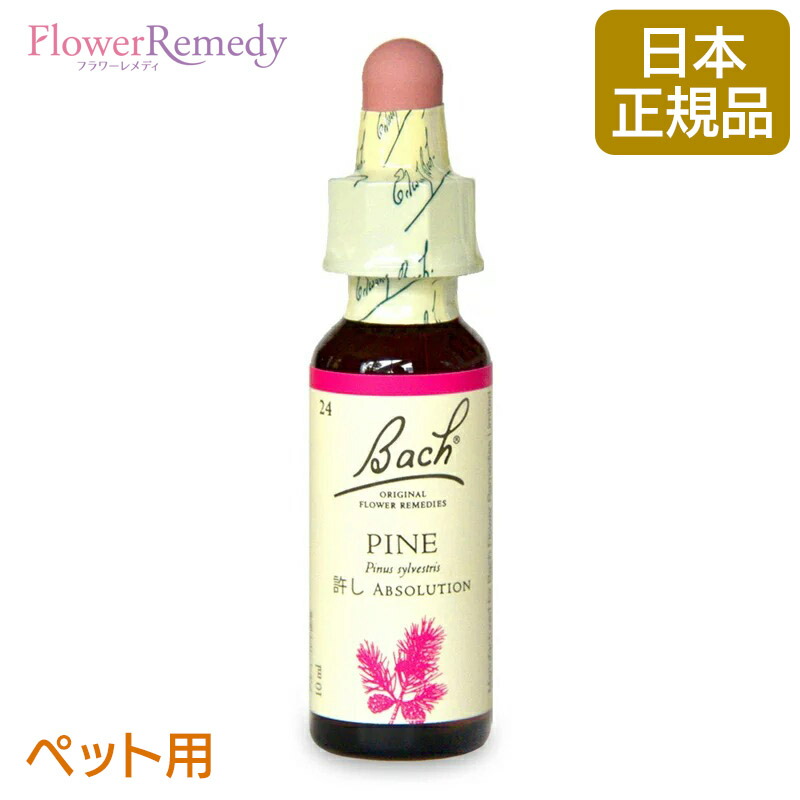 4/14まで期間限定価格【美品】バッチフラワーエッセンス事典 レメディー専用箱 楽天市場】[ペット用]バッチフラワーレメディ ワイルドオート