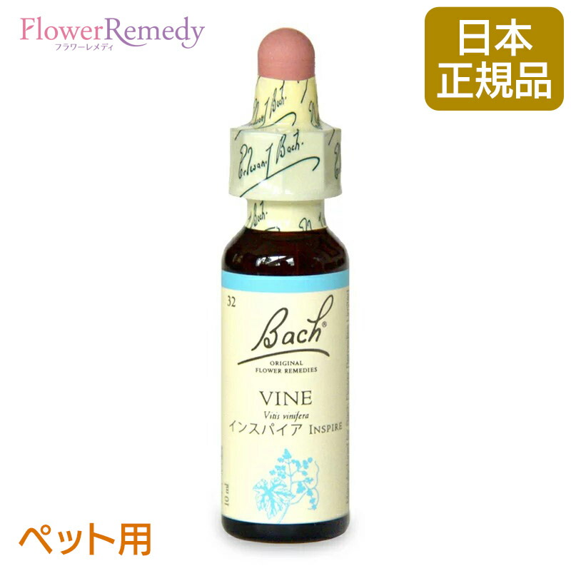 エインズワース　フラワーエッセンス　バッチフラワー　セット エインズワース バッチフラワーエッセンス10ml 40本キット