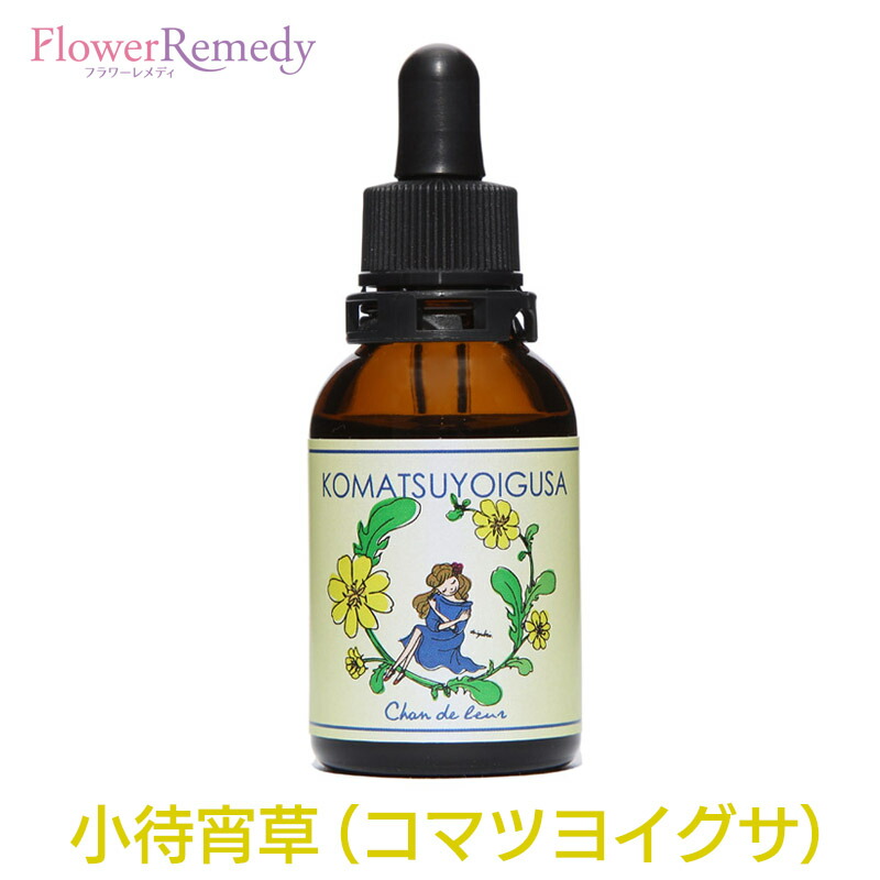 【楽天市場】パパイヤフラワーエッセンス《シャンドゥルール》20ml[奄美大島｜国産フラワーエッセンス｜奄美の四季シリーズ] : フラワーレメディ