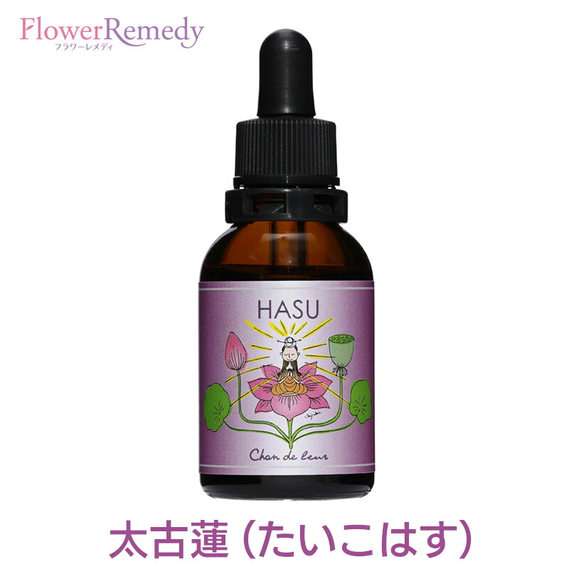 【楽天市場】ティーリーフフラワーエッセンス《シャンドゥルール》20ml[奄美大島｜国産フラワーエッセンス｜奄美の四季シリーズ] : フラワーレメディ